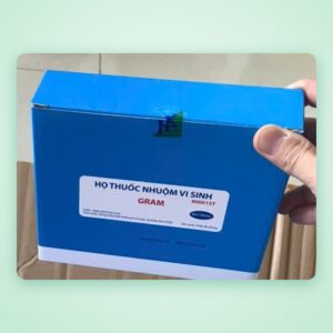 Bộ thuốc nhuộm Gram – Nam Khoa