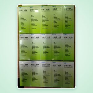 Que thử nước tiểu 11 thông số URIT 11A