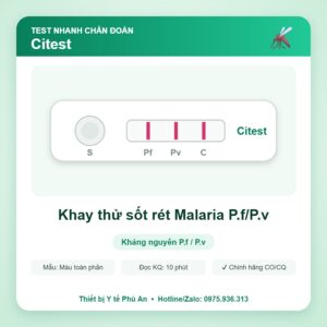 Khay thử sốt rét Malaria P.f/P.v – Citest