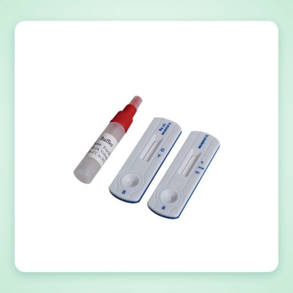 Khay thử xét nghiệm V. cholerae O1/O139 Ag Combo (phân) – Orient Gene