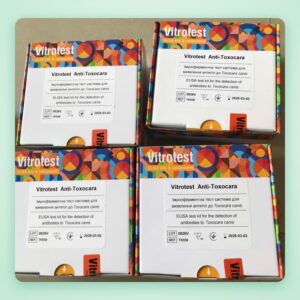 Bộ xét nghiệm ELISA Anti-Toxocara (giun đũa chó) – Vitrotest