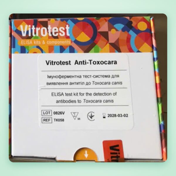 Bộ xét nghiệm ELISA Anti-Toxocara (giun đũa chó) – Vitrotest